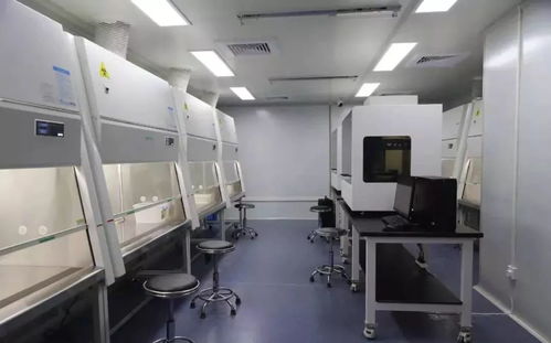 手握科技利劍 園區科技企業與疫情賽跑