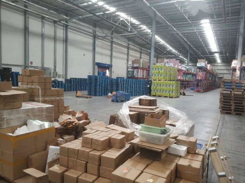三大電商齊聚懷仁，共筑‘懷仁味道’農產品上行新通路