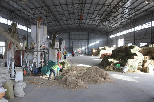 肅南皇城鎮河西村 飼草料加工廠里的溫暖生產線，守護草原初級食用農產品