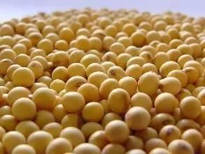 無(wú)證莫售 初級(jí)食用農(nóng)產(chǎn)品上市銷售必須持有相關(guān)證明